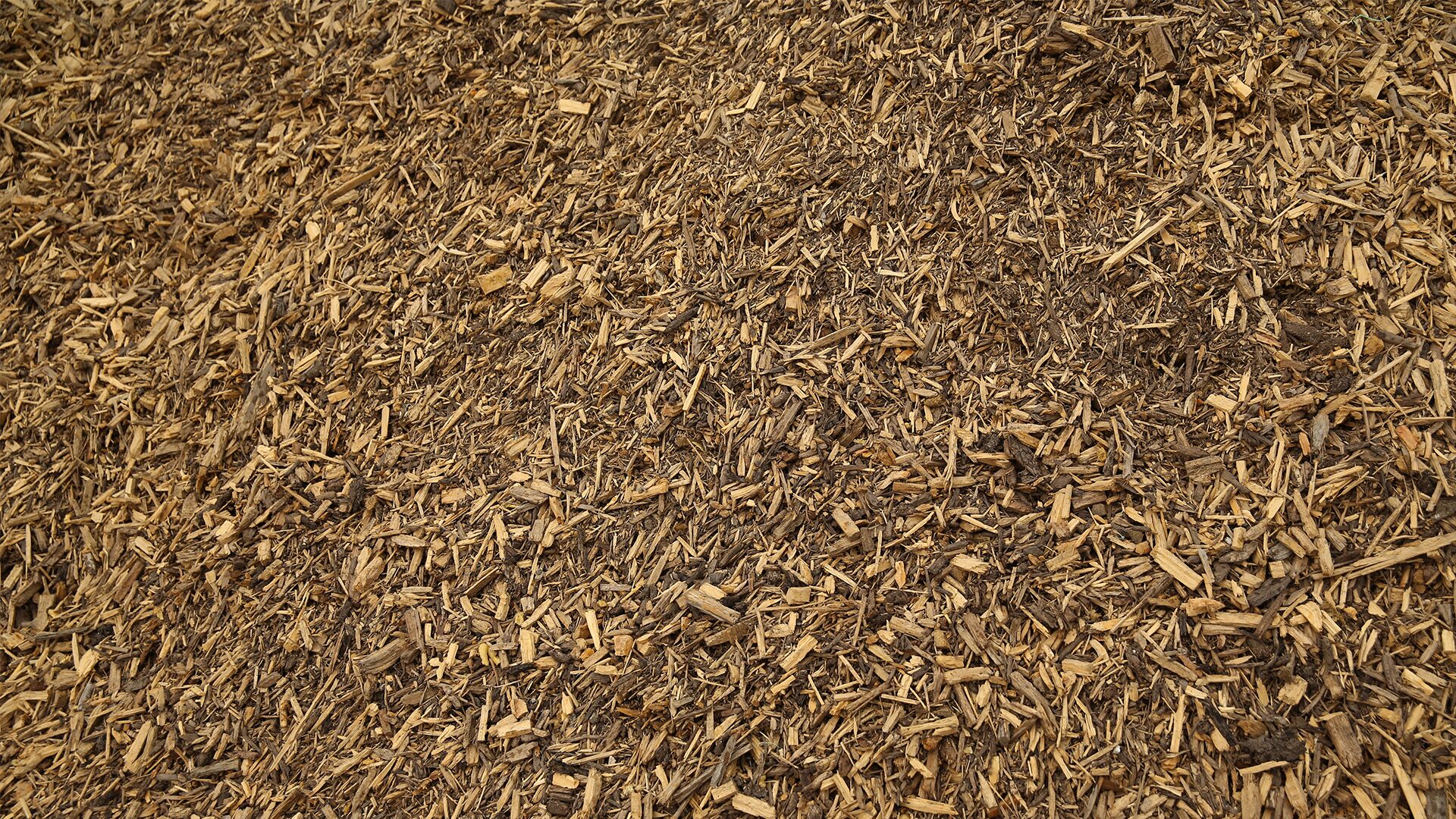 Large Shard Mulch