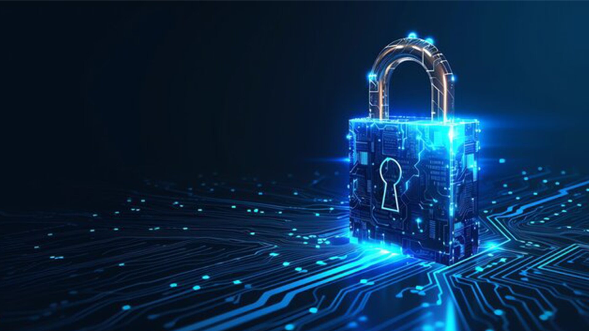 Security & Customer Privacy