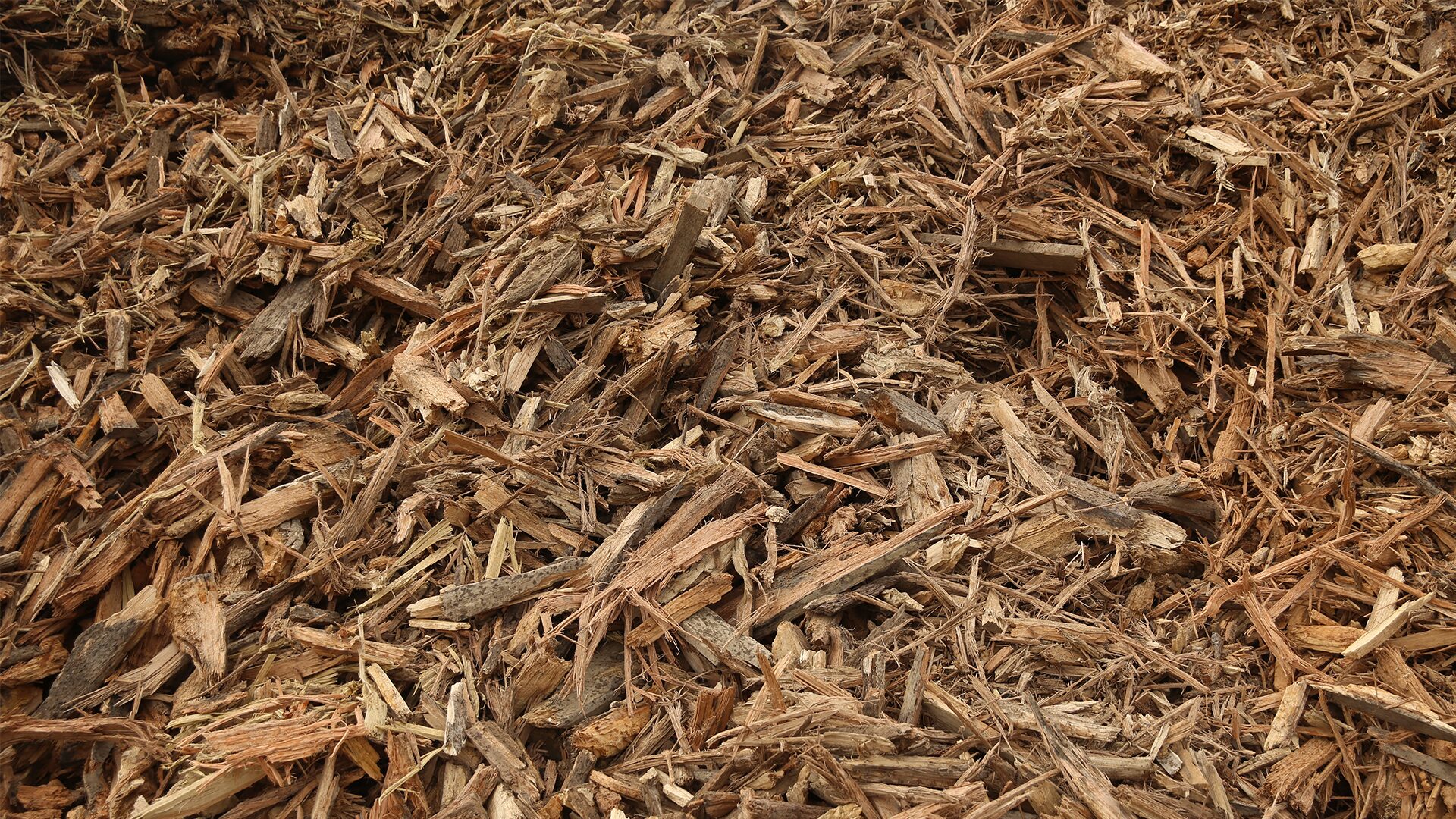 Mixed Wood Mulch