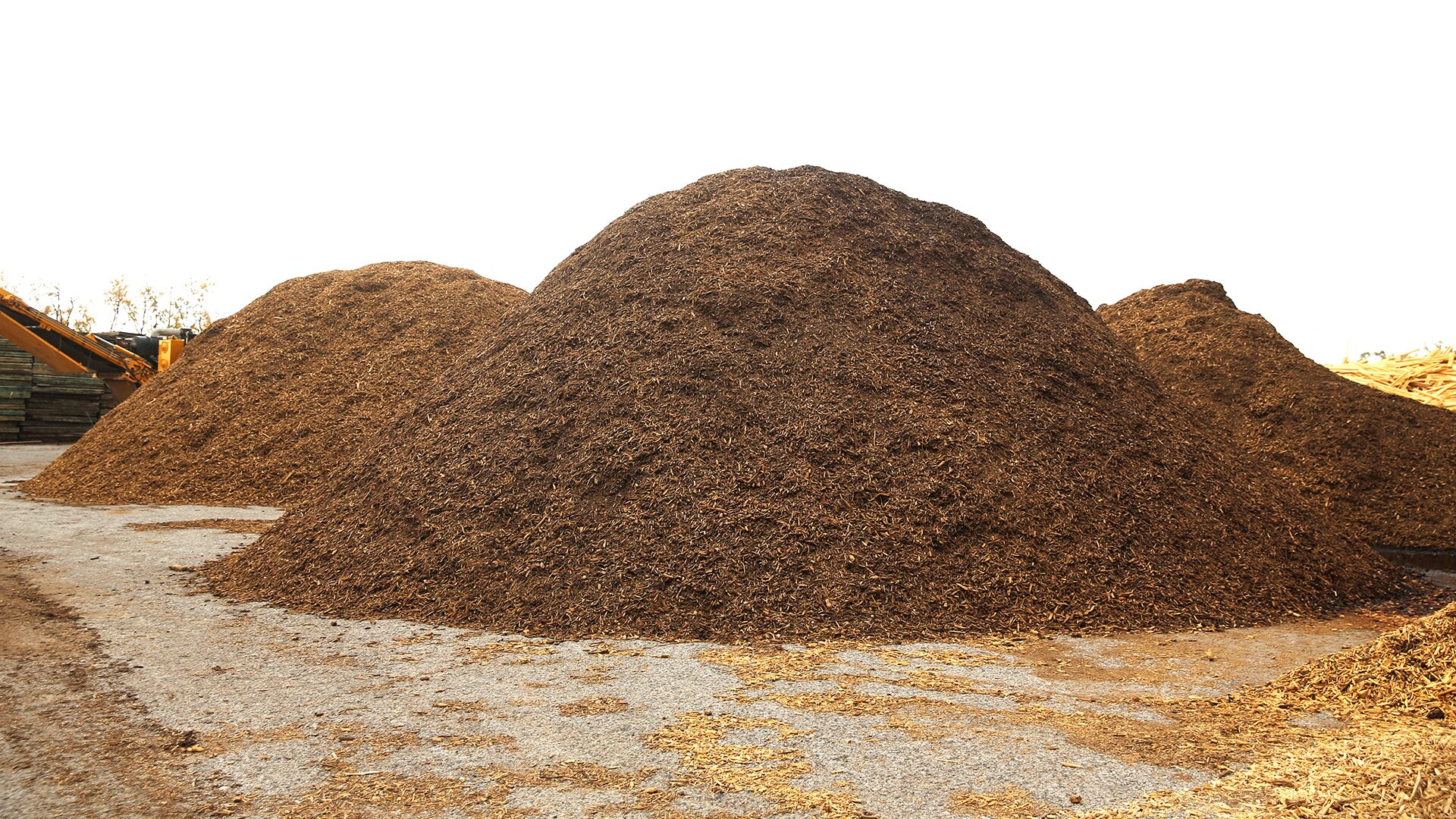 Reuse, Resell, or Recycle