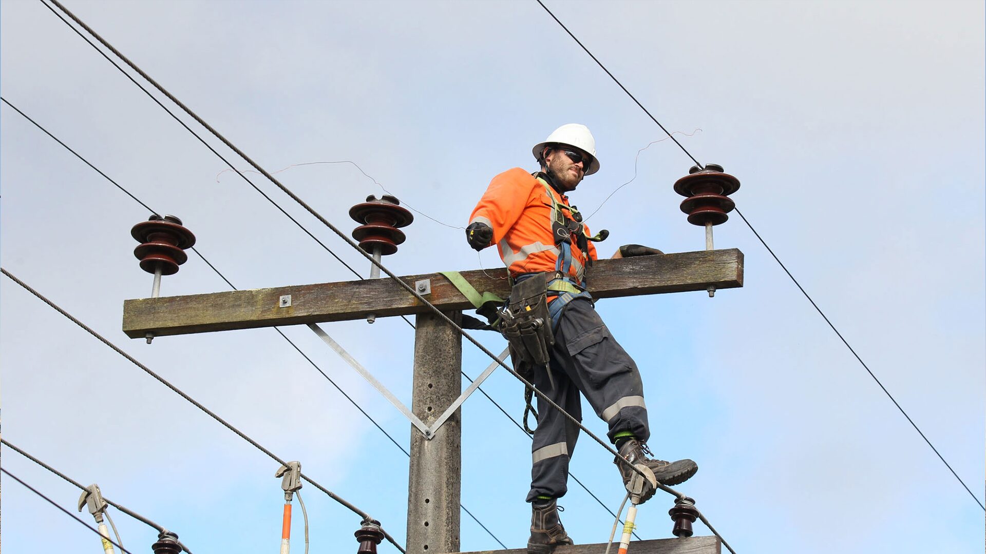 Insulator & Crossarm Swaps