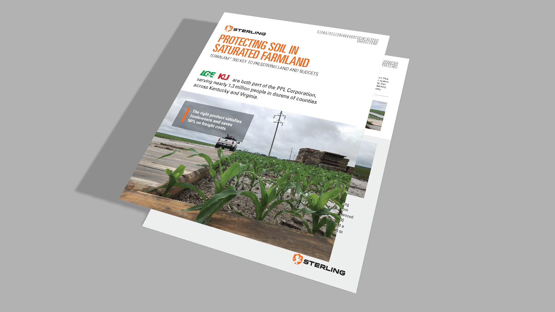 Protecting Soil in Saturated Farmland