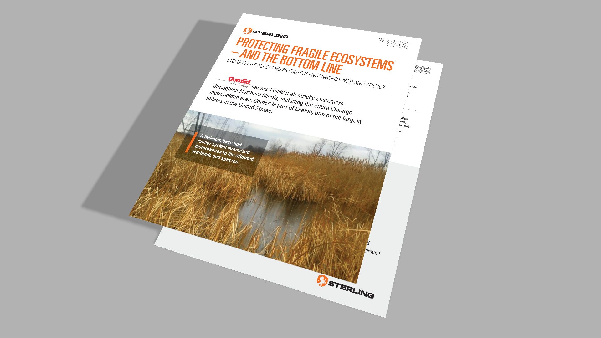 Protecting Fragile Ecosystems and the Bottom Line